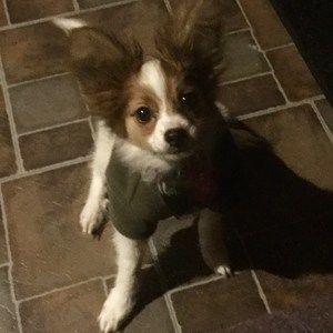 Meet your Posher, Matthew